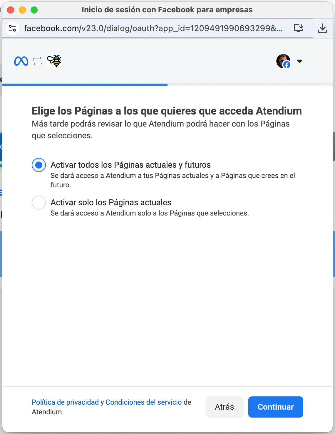 Selección de páginas